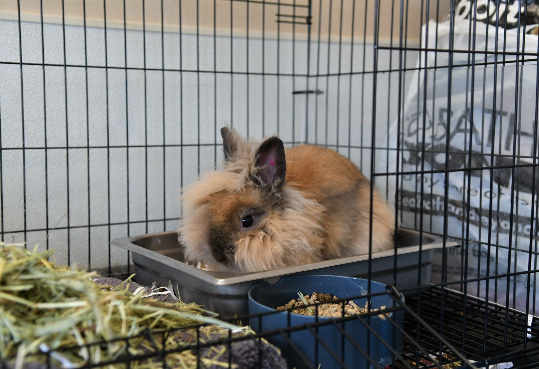 091421-qc-nws-shelter5.jpg